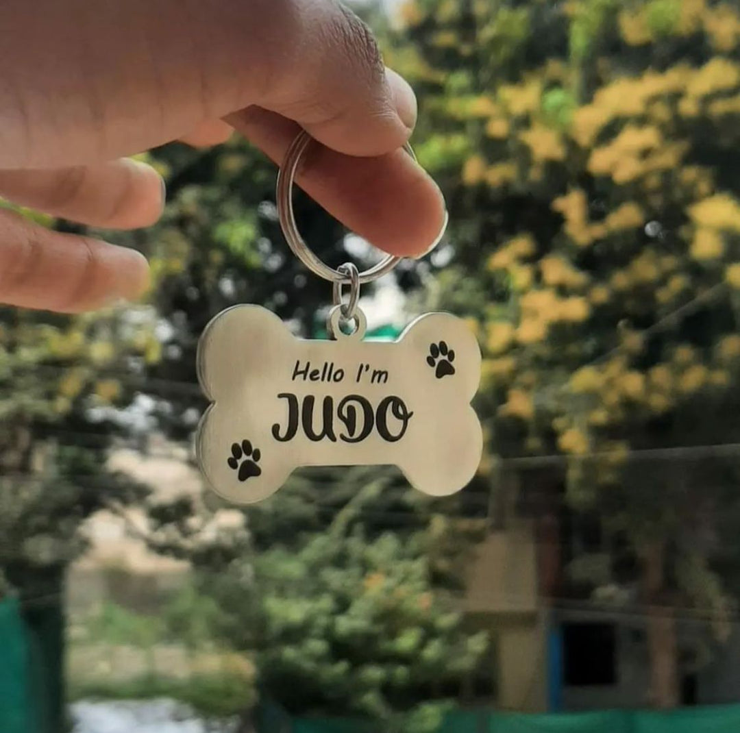 Dog Tag - Name Tags for Dogs, Dog Collar with Name Tag | Zestpics