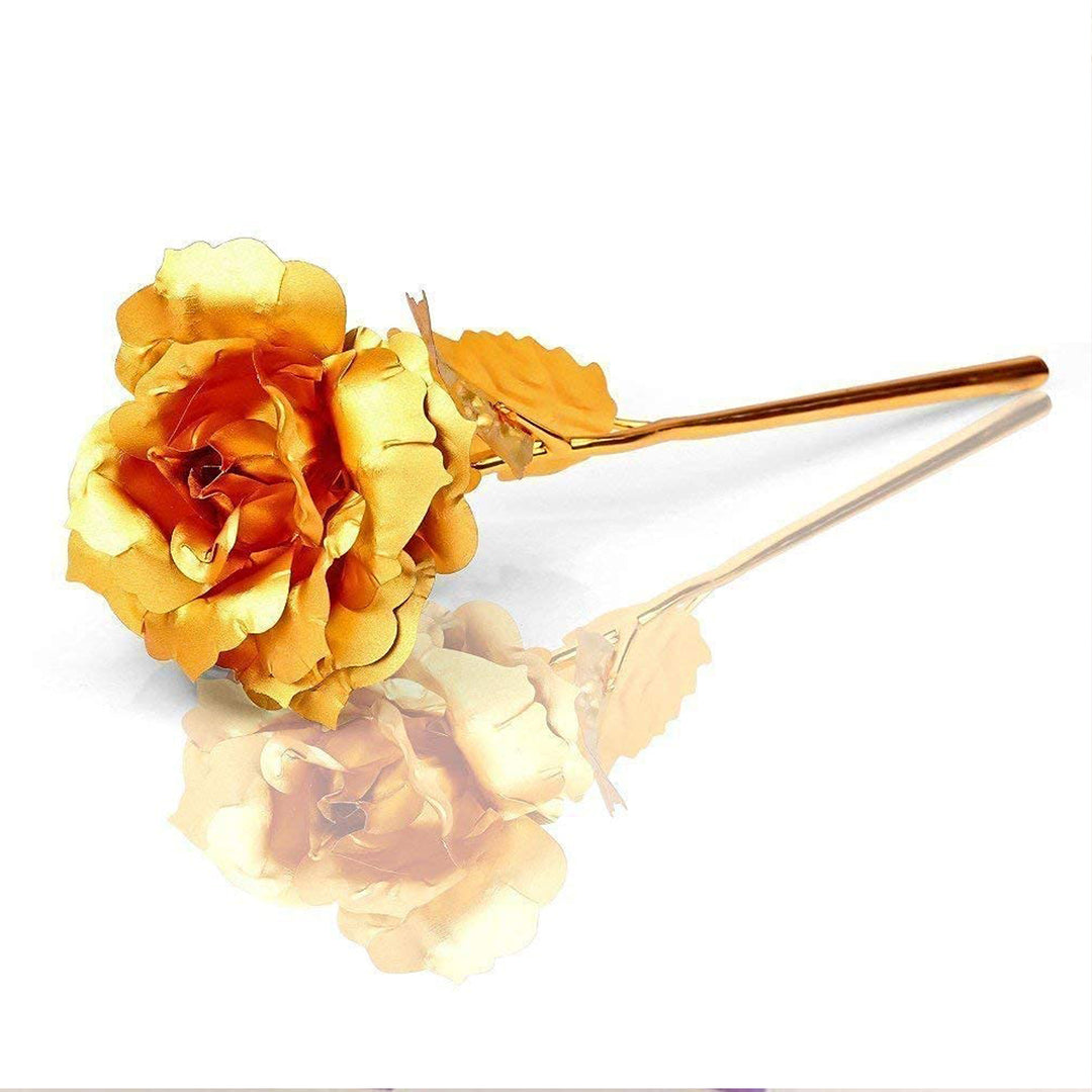 Valentine Day Rose | Valentine Rose | Rose Day Gift | Online Zestpics