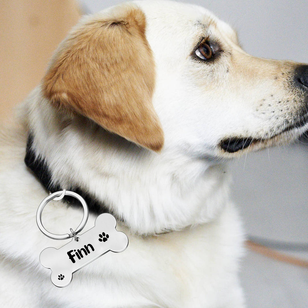 Dog Tag - Name Tags for Dogs, Dog Collar with Name Tag | Zestpics
