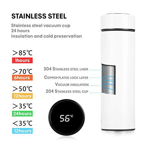 Temperature Ranges for Temperature Bottle | Zestpics