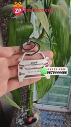 Personalized Kia Car Keychain | Custom Car Number & Name | Zestpics