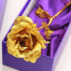 Valentine Day Rose | Valentine Rose | Rose Day Gift | Online Zestpics 